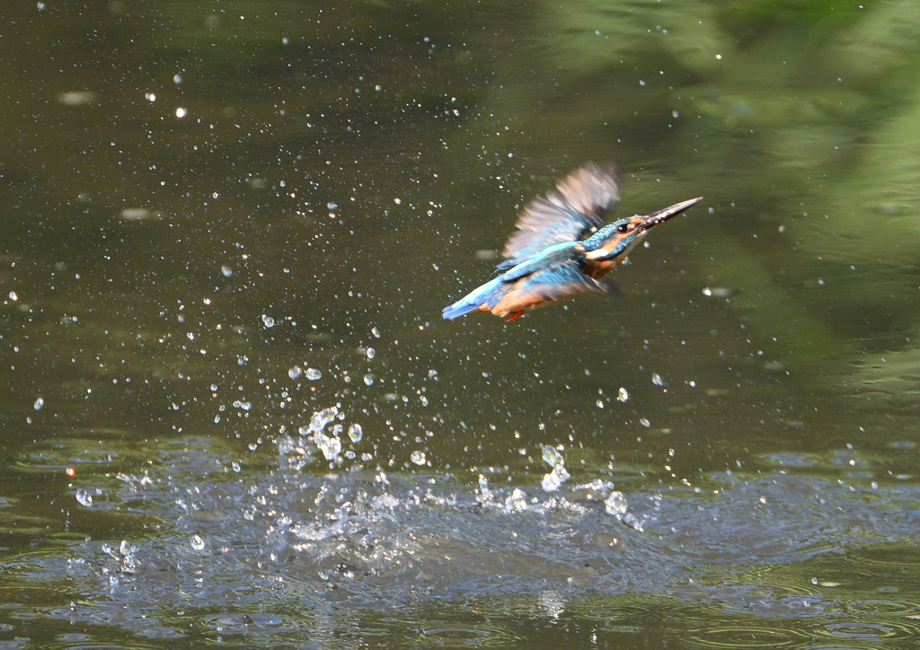 _190906_074931 DSC_9209