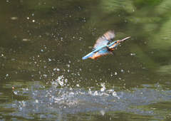 _190906_074931 DSC_9209