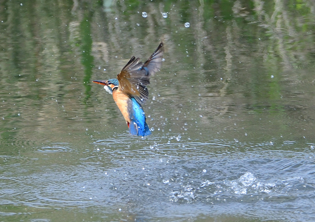 ダイブ　４/２２❷