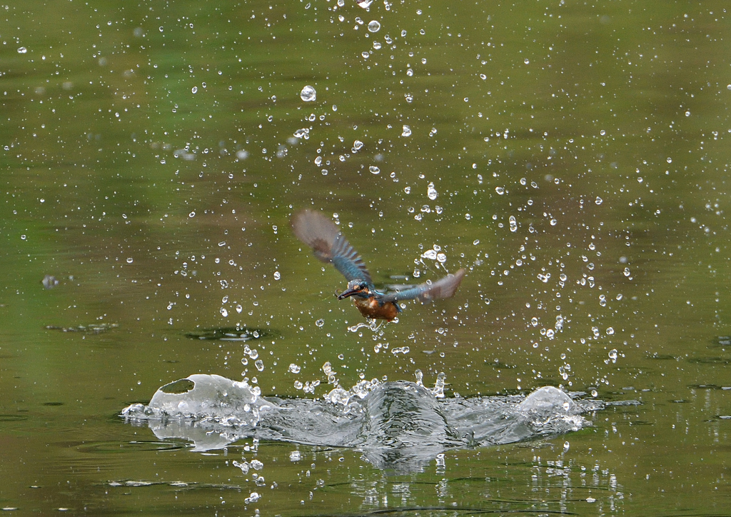 ダイブ❶　７/８