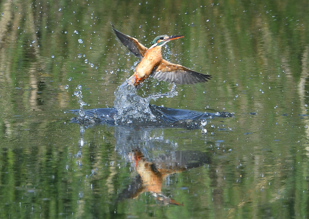 ダイブ　５/６❸