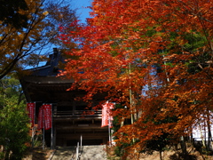 薬師寺　１１/１７❶