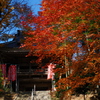 薬師寺　１１/１７❶