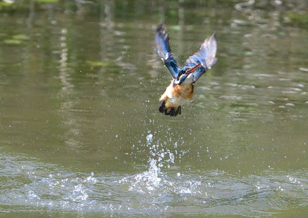 水飛沫　５/５❽