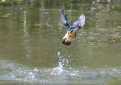 水飛沫　５/５❽