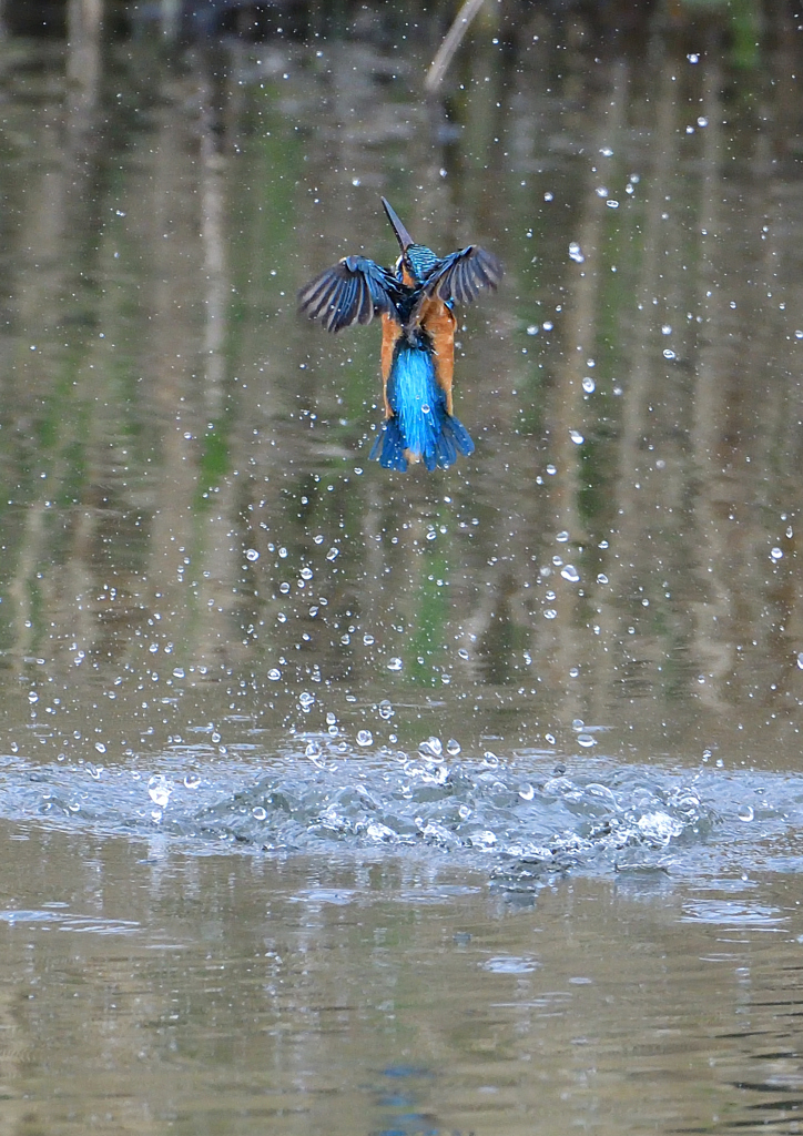 水飛沫　４/１❺
