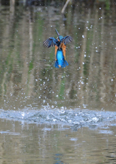 水飛沫　４/１❺