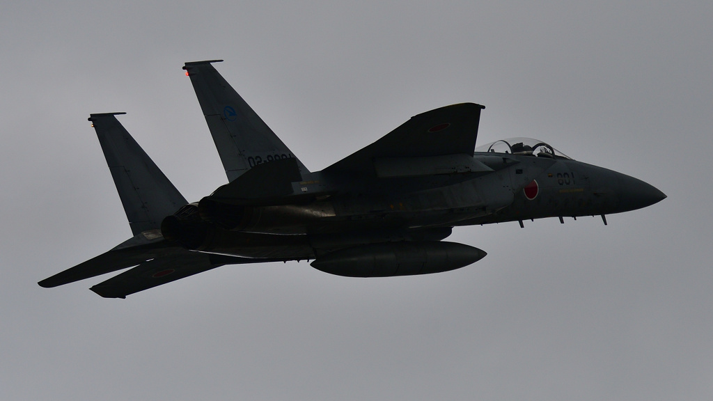 F-15J　６/１０❶