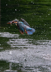 水飛沫　７/１５⑤