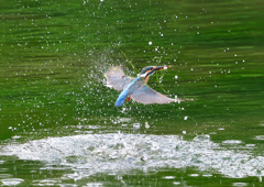 ダイブ　５/２３❺