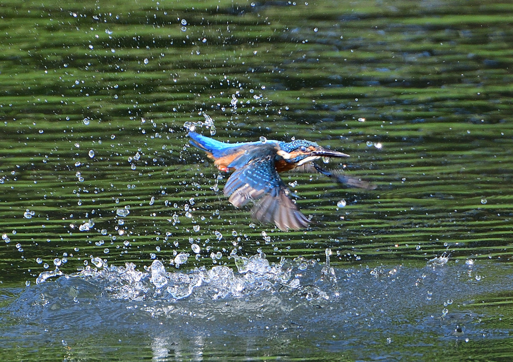 水飛沫　９/１２❾