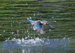 水飛沫　９/１２❾