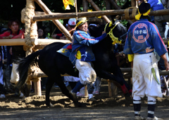 おまんと祭り③