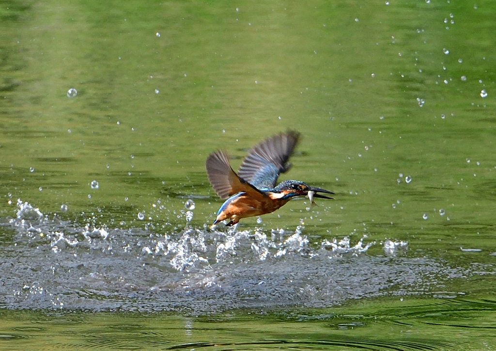 いつもの公園で　９/１９❻