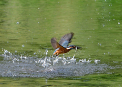 いつもの公園で　９/１９❻