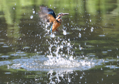 飛沫　８/２６⓭
