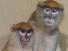 穏やかな・・・　３/２９