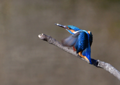 いつもの公園で　１/３１❷