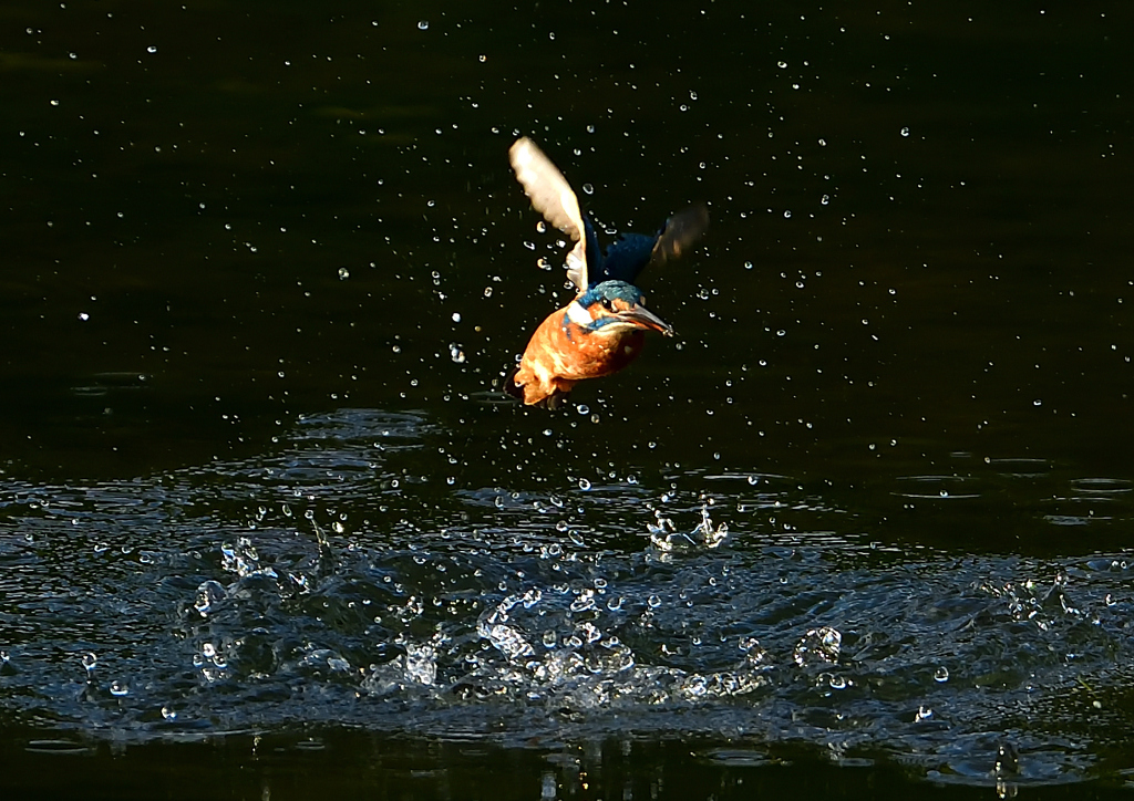 いつもの公園で　１０/１４❶
