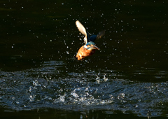 いつもの公園で　１０/１４❶