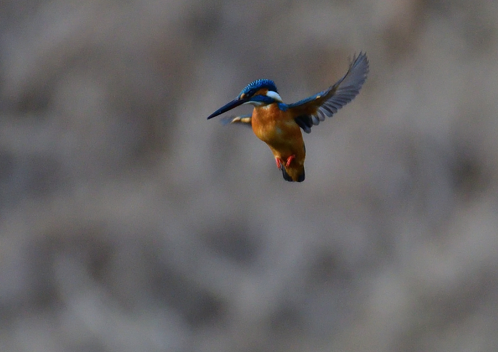 いつもの公園で　1／5❸