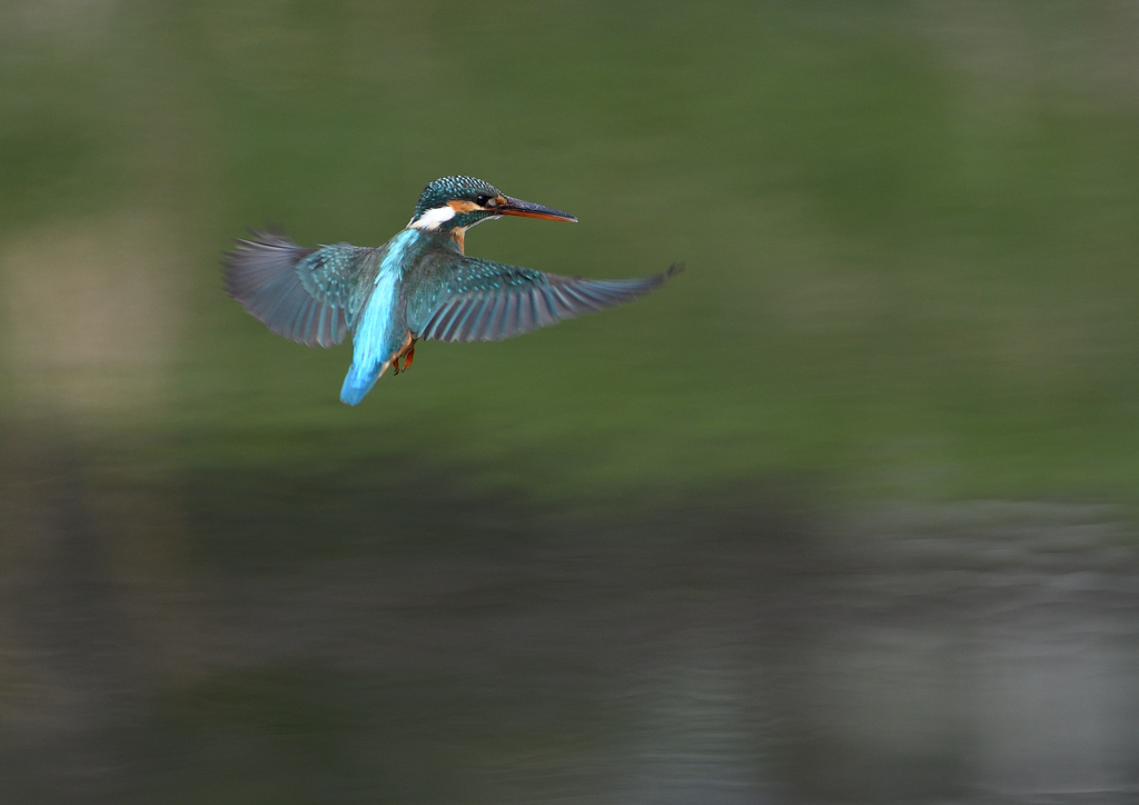 _190317_085112 DSC_7914