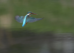 _190317_085112 DSC_7914