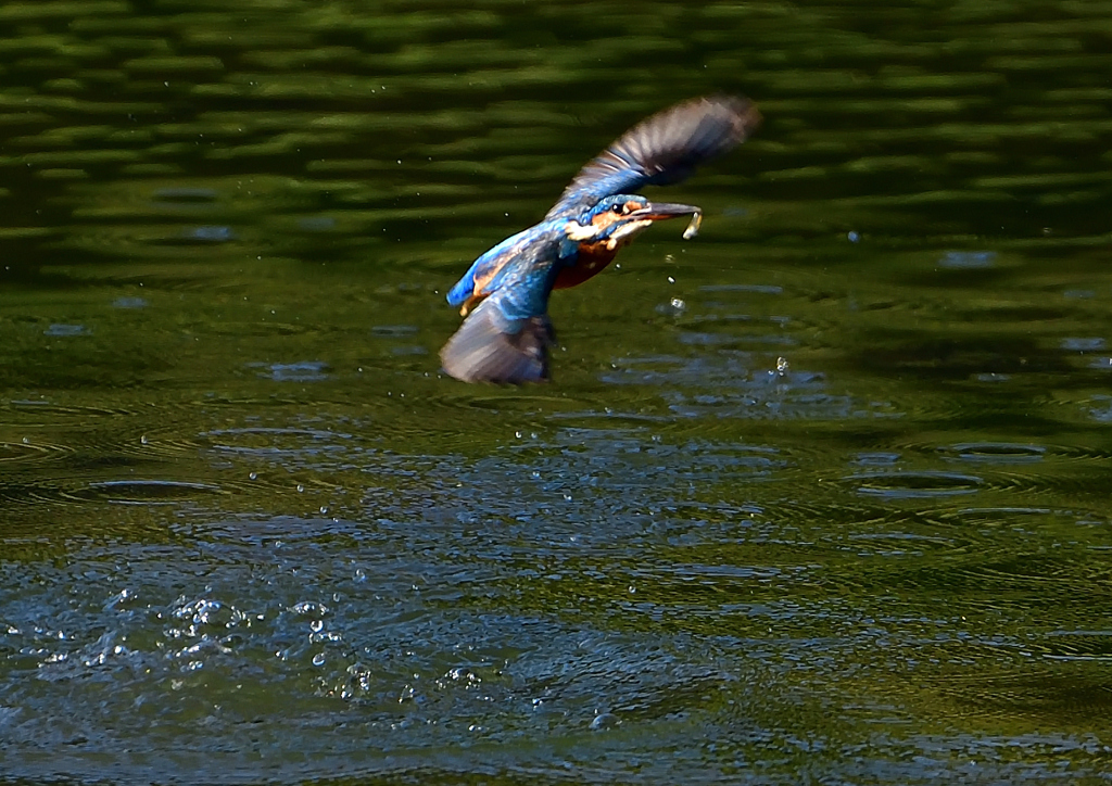いつもの公園で　１０/１５❽