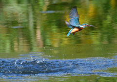 いつもの公園で　１０/２７❺