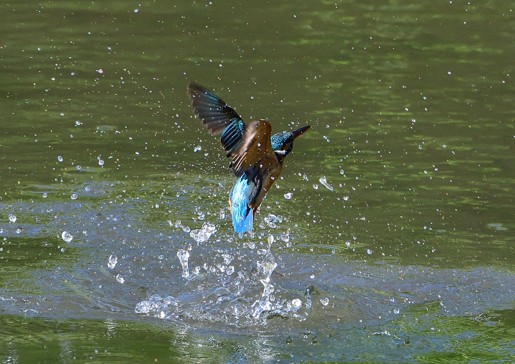 水飛沫　５/１１❷