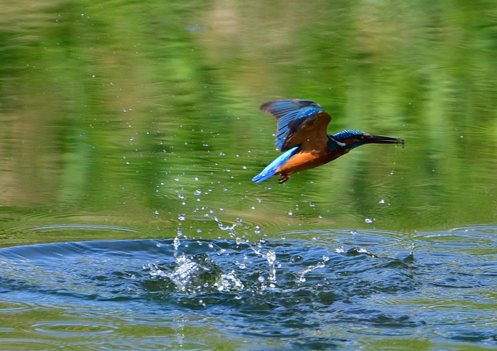 いつもの公園で　１０/７❻