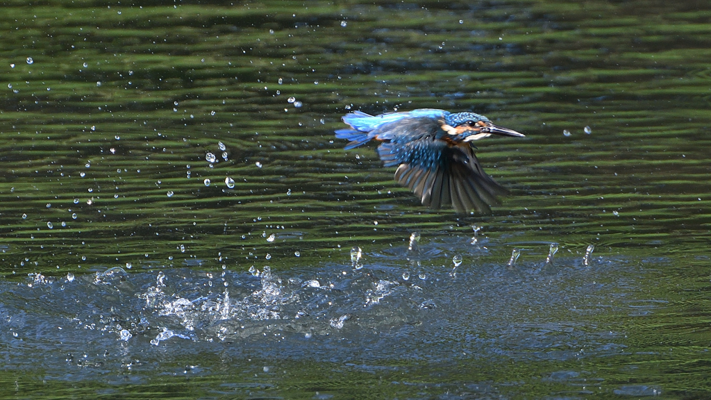 水飛沫　９/１２❿