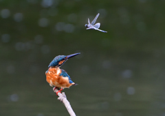 いつもの公園で　８/２１❷