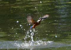 飛沫　８/２６⓮