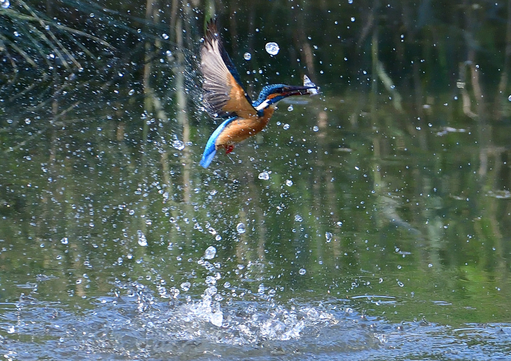 水飛沫　５/１❼