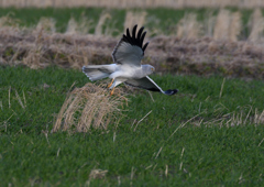 _190205_162642 DSC_8769