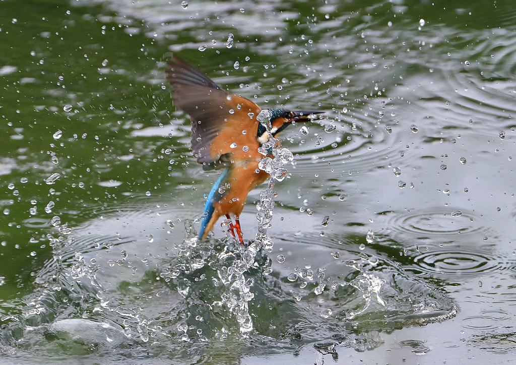 水飛沫　７/２９➂