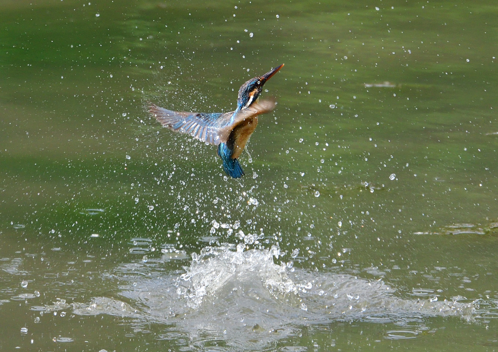 ダイブ　５/２３❷