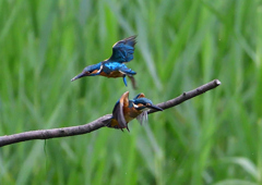 親子で・・・・　７/１３②