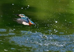 いつもの公園で　８/２６❸