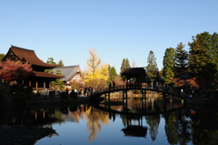 永保寺の紅葉 12/1❸ 永保寺の紅葉 12/1❸