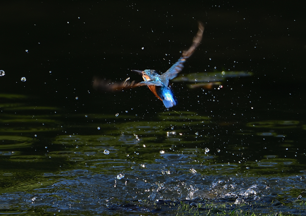 水飛沫　９/２４❺