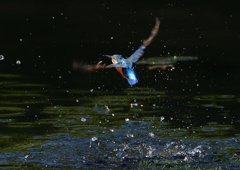 水飛沫　９/２４❺