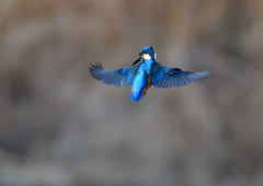 いつもの公園で　1／5❶