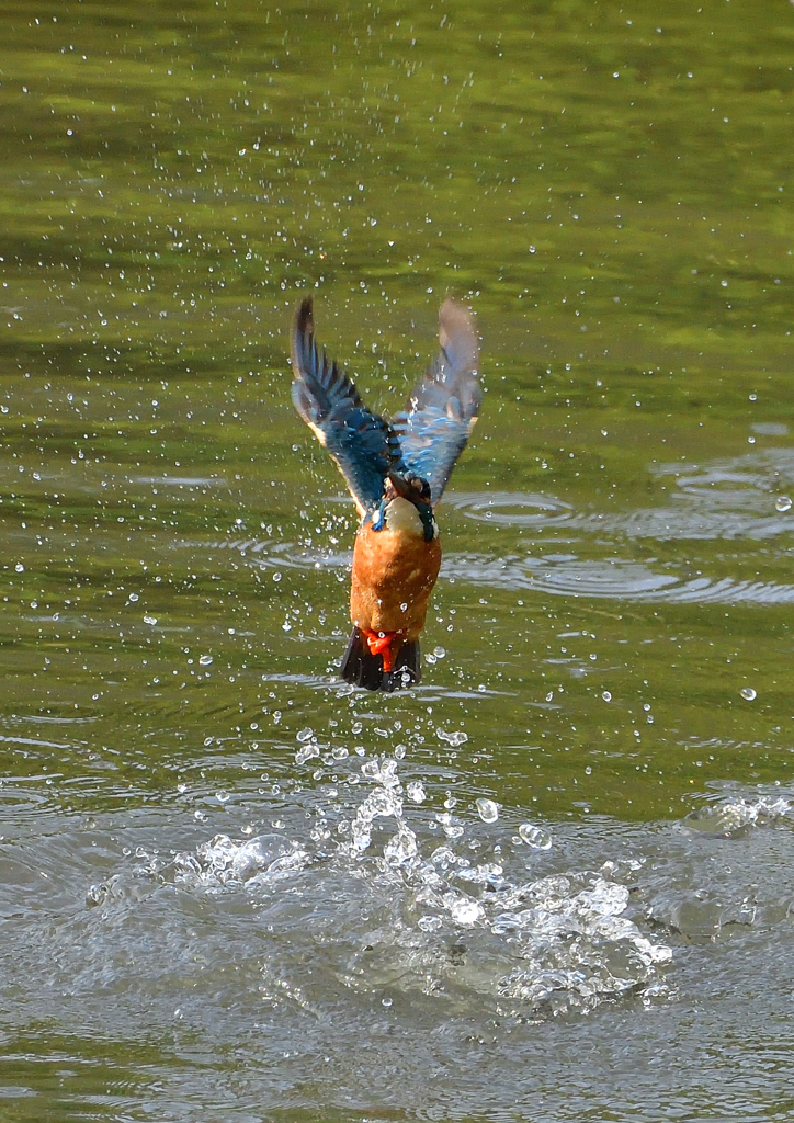 水飛沫　４/２７❷