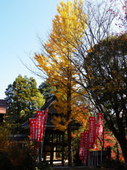 薬師寺　１１/１７❷