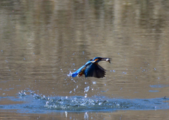 いつもの公園で　１/２５❺