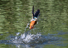 水飛沫　１０/１５❼