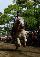 砥鹿神社の流鏑馬❶