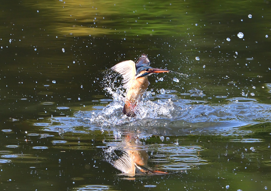 水飛沫　４/２９❺